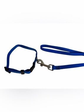 Small Blue Nylon Adjustable Dog/Cat Collar 12”& 46” Matching Leash